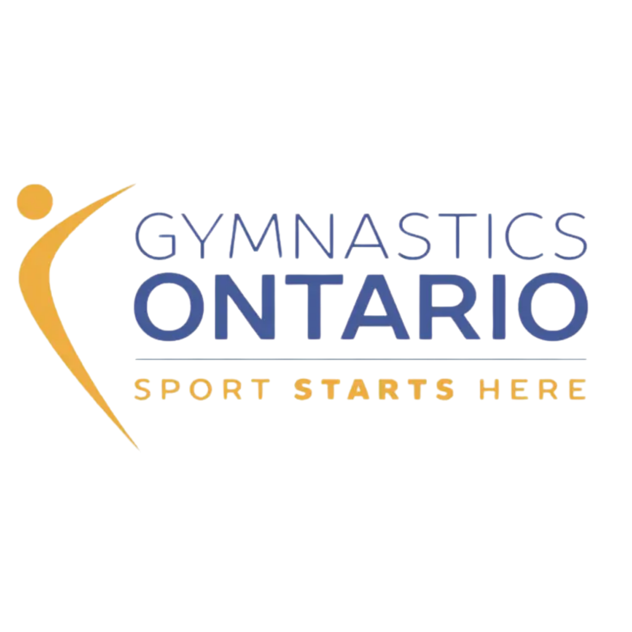 Gymnastics Ontario 1